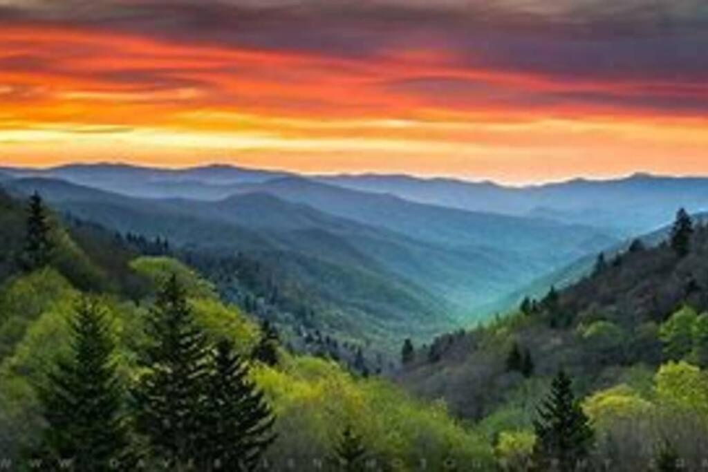 1 Mi To Dollywood Mins To All Attractions & Gsmnp Sevierville Kültér fotó